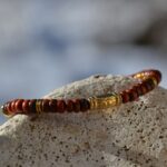 Bracelet en bois d'exception avec médaillon doré, parfait pour sublimer vos tenues quotidiennes ou des occasions spéciales.