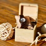 Profitez des réductions sur la Montre automatique Océane. Livraison rapide, design français. Commandez aujourd'hui et bénéficiez d'un service exceptionnel.