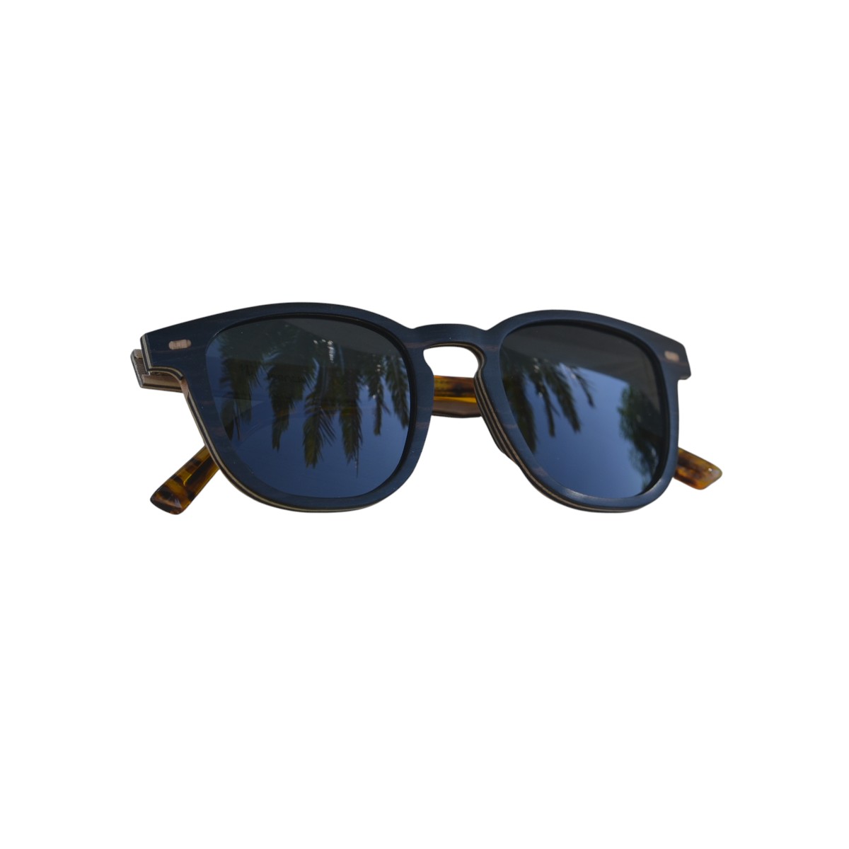 Lunettes de soleil homme Falcon Black.