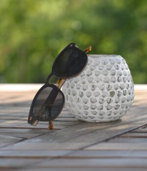 Lunettes de soleil homme Falcon Black.